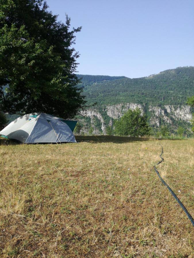 Rafting Camp Apartments Montenegro Goran Lekovic Zabljak  Bagian luar foto