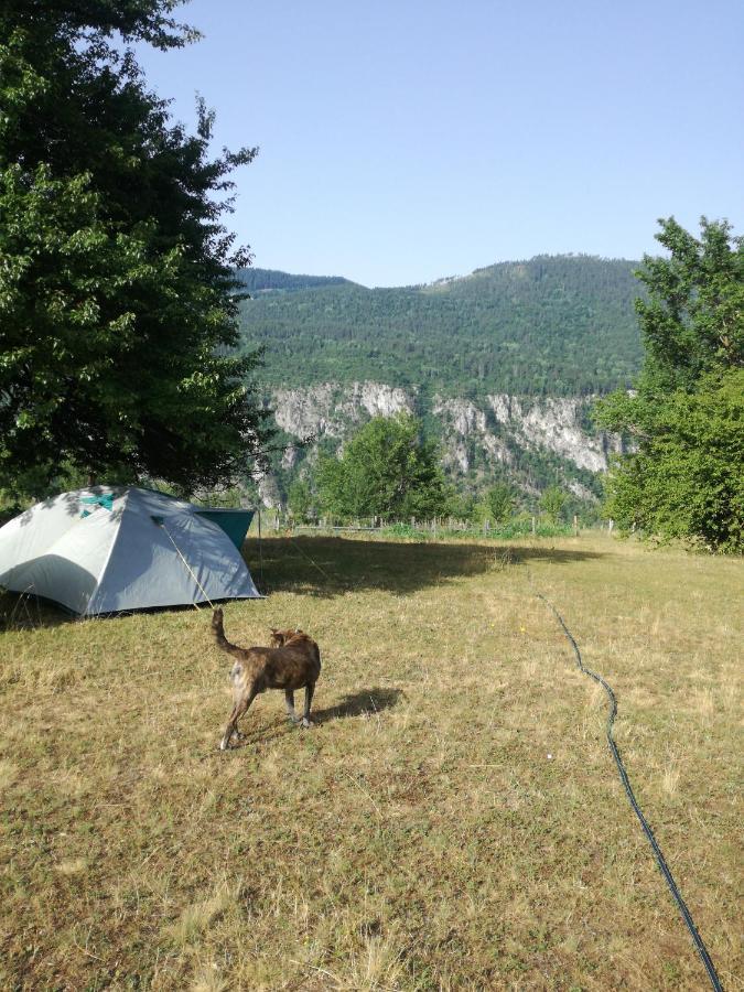 Rafting Camp Apartments Montenegro Goran Lekovic Zabljak  Bagian luar foto