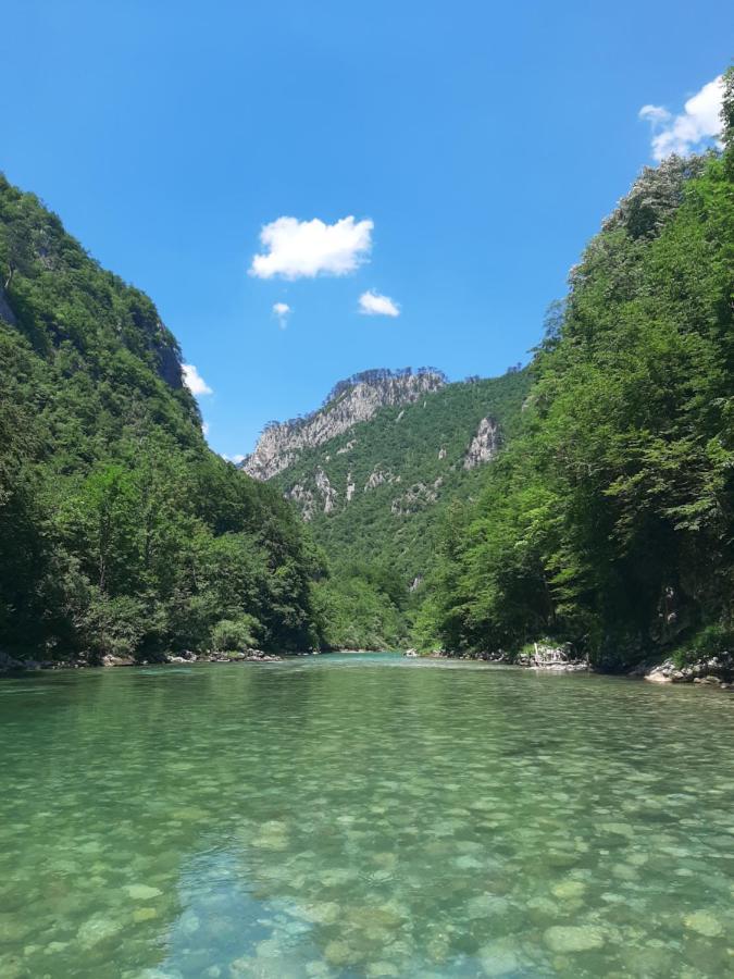 Rafting Camp Apartments Montenegro Goran Lekovic Zabljak  Bagian luar foto