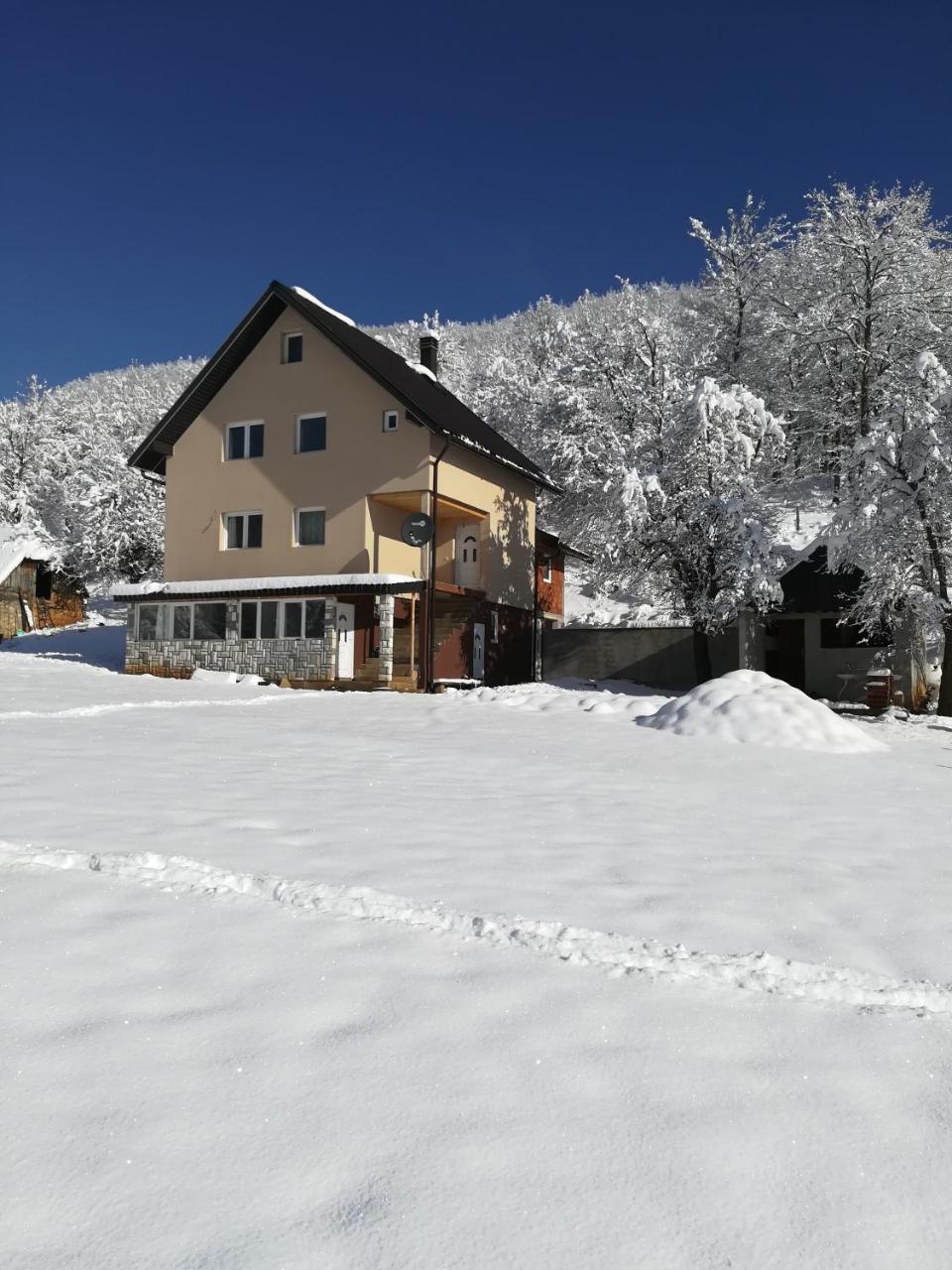 Rafting Camp Apartments Montenegro Goran Lekovic Zabljak  Bagian luar foto